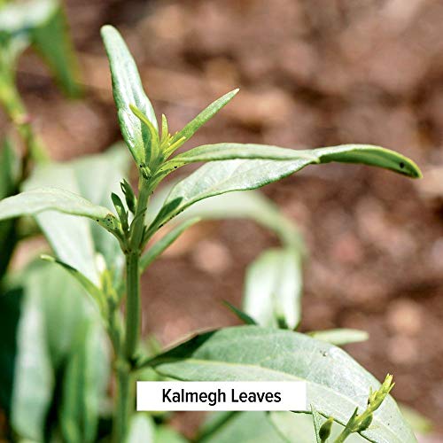Banyan Botanicals Organic Kalmegh Powder - Andrographis paniculat...
