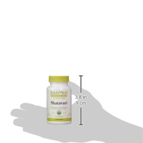 Banyan Botanicals Shatavari Supplements – Organic Shatavari Root ...