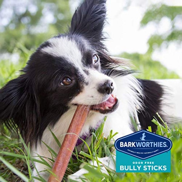 Barkworthies Odor-Free 6-inch Bully Sticks 5 Pack - Healthy Dog...