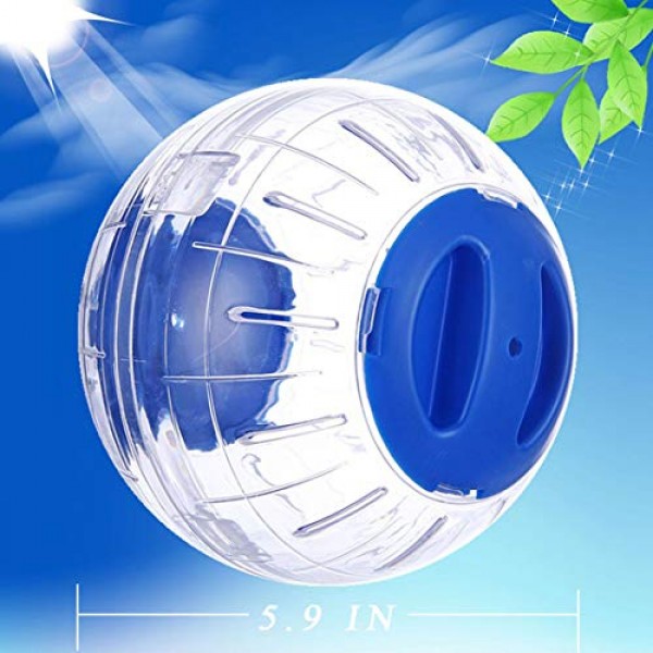 5.5 Silent Hamster Ball,Transparent Big Run-About Exercise Ball ...