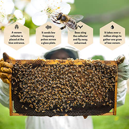 Beloved NZ All Natural Bee Venom Lip Plumping Primer Anti-Aging C...
