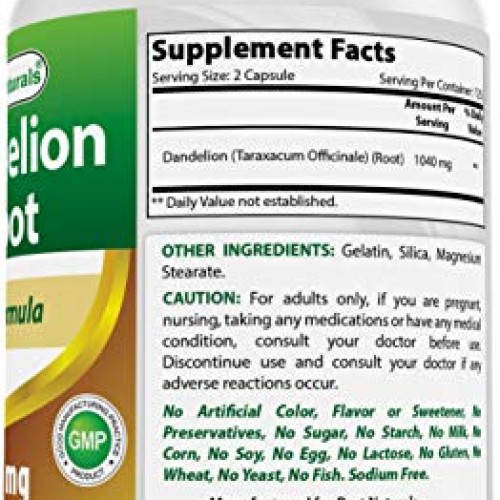 Best Naturals Dandelion Root 520 mg 250 Capsules