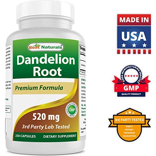 Best Naturals Dandelion Root 520 mg 250 Capsules