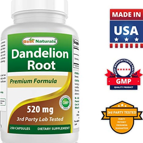 Best Naturals Dandelion Root 520 mg 250 Capsules