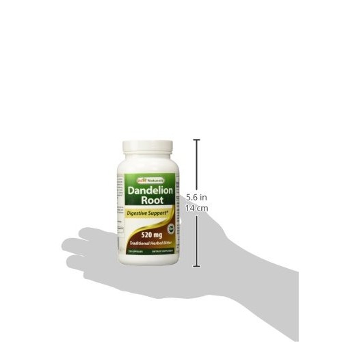 Best Naturals Dandelion Root 520 mg 250 Capsules