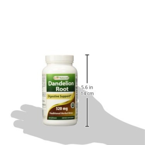 Best Naturals Dandelion Root 520 mg 250 Capsules