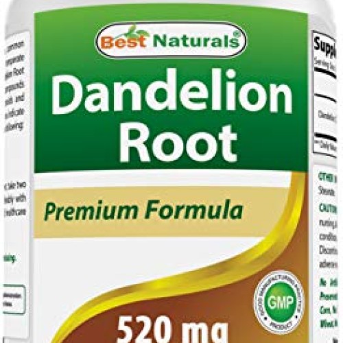 Best Naturals Dandelion Root 520 mg 250 Capsules