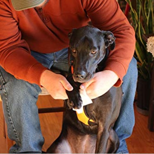 Best Pet Supplies Lavender-Scented Calming Pet Wipes for Dogs & C...