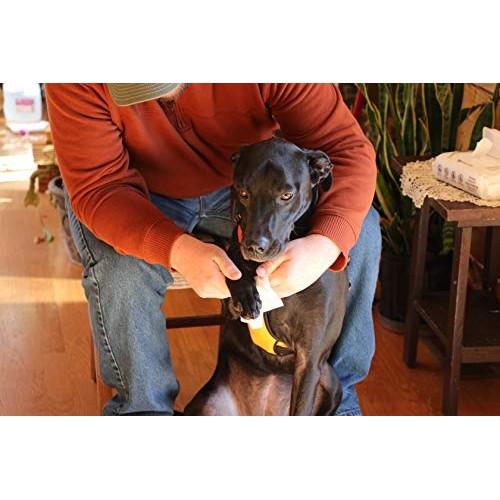 Best Pet Supplies Lavender-Scented Calming Pet Wipes for Dogs & C...