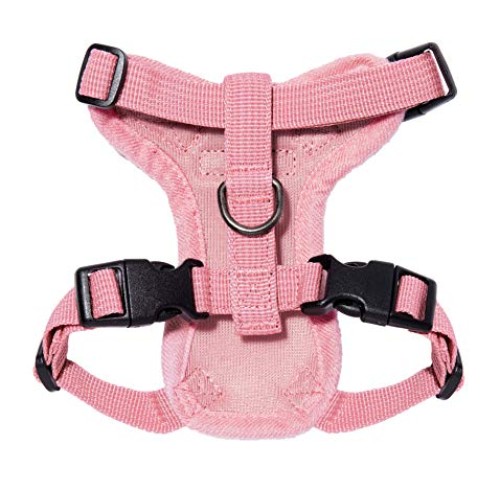 Best Pet Supplies Voyager Step-in Lock Cat Harness - Adjustable S...