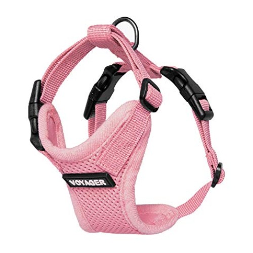 Best Pet Supplies Voyager Step-in Lock Cat Harness - Adjustable S...