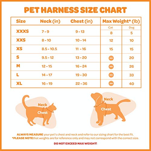 Best Pet Supplies Voyager Step-in Lock Cat Harness - Adjustable S...