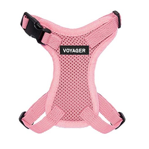 Best Pet Supplies Voyager Step-in Lock Cat Harness - Adjustable S...