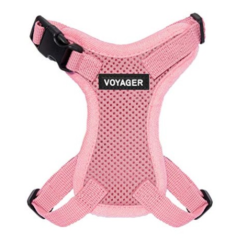 Best Pet Supplies Voyager Step-in Lock Cat Harness - Adjustable S...