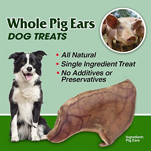 Gigabite Whole Pig Ears for Dogs 100 Pack – All Natural Pork Ea...