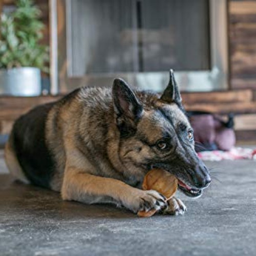 Gigabite Whole Pig Ears for Dogs 100 Pack – All Natural Pork Ea...