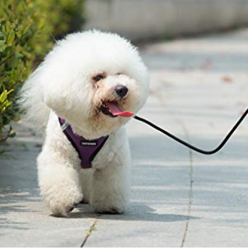 Voyager Step-in Air Dog Harness - All Weather Mesh, Step in Vest ...