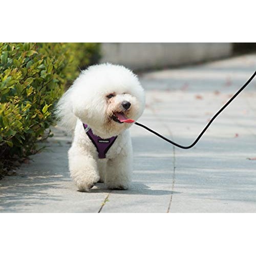 Voyager Step-in Air Dog Harness - All Weather Mesh, Step in Vest ...