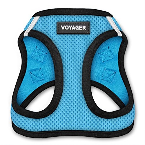 Voyager Step-in Air Dog Harness - All Weather Mesh, Step in Vest ...