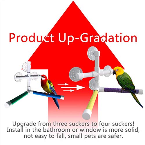 Bird Bath Perch Stand with 4-Suction Cup,Parrot Window Shower Rac...