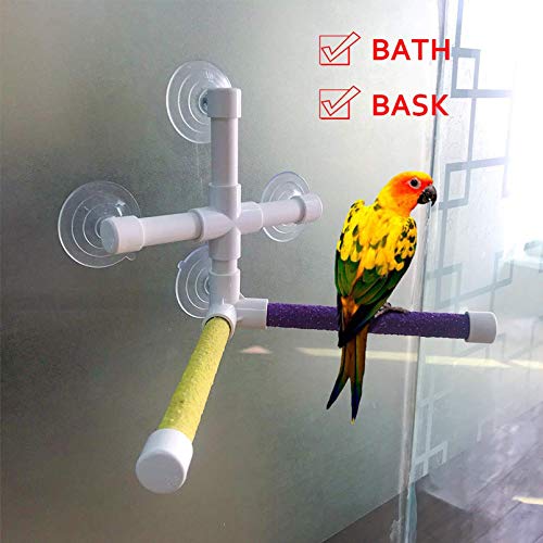 Bird Bath Perch Stand with 4-Suction Cup,Parrot Window Shower Rac...