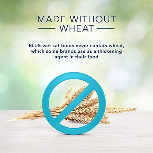 Blue Buffalo Freedom Grain Free Natural Adult Pate Wet Cat Food, ...