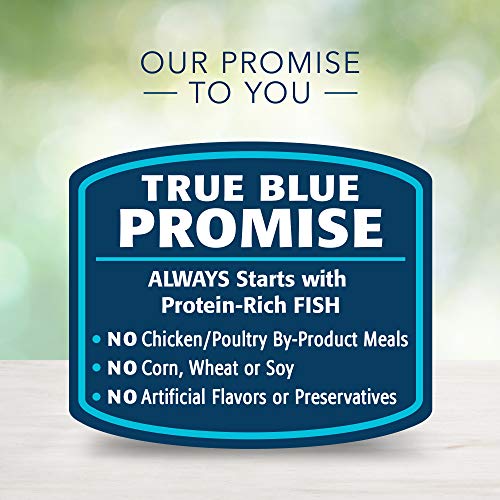 Blue Buffalo Freedom Grain Free Natural Adult Pate Wet Cat Food, ...