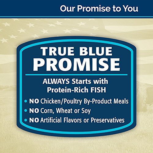 Blue Buffalo Freedom Grain Free Natural Adult Pate Wet Cat Food, ...