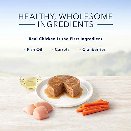 Blue Buffalo Healthy Gourmet Natural Kitten Pate Wet Cat Food Chi...