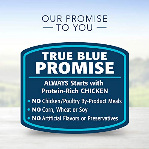Blue Buffalo Healthy Gourmet Natural Kitten Pate Wet Cat Food Chi...
