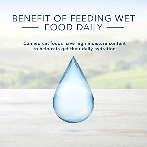 Blue Buffalo Healthy Gourmet Natural Kitten Pate Wet Cat Food Chi...