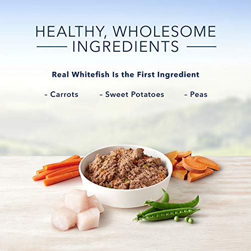 Blue Buffalo Homestyle Recipe Natural Adult Wet Dog Food, Fish & ...