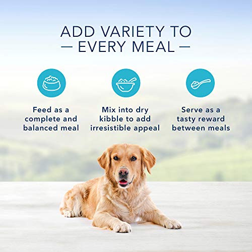 Blue Buffalo Homestyle Recipe Natural Adult Wet Dog Food, Fish & ...