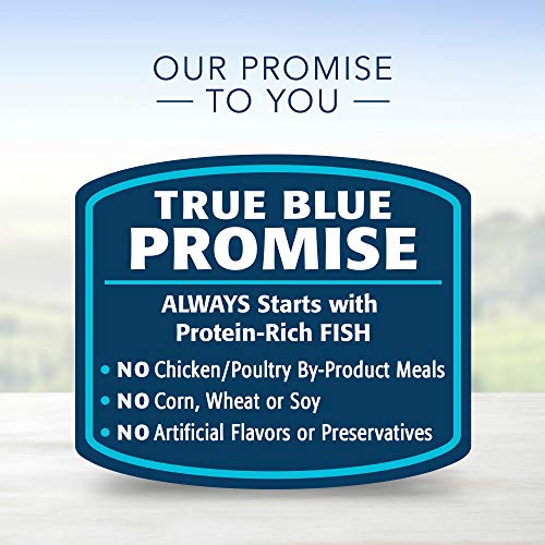 Blue Buffalo Homestyle Recipe Natural Adult Wet Dog Food, Fish & ...