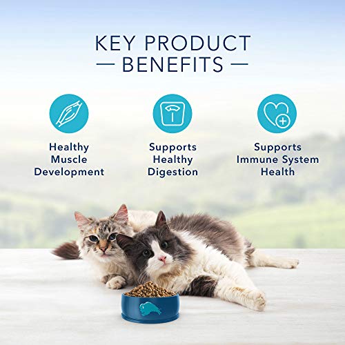 Blue Buffalo Multi-Cat Natural Adult Dry Cat Food, Chicken & Turk...