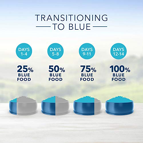 Blue Buffalo Multi-Cat Natural Adult Dry Cat Food, Chicken & Turk...