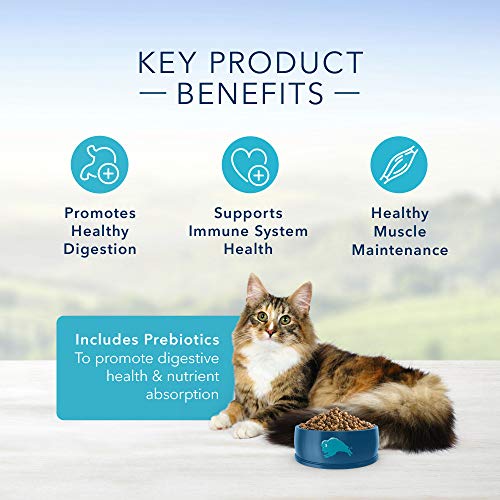 Blue Buffalo Sensitive Stomach Natural Adult Dry Cat Food, Chicke...