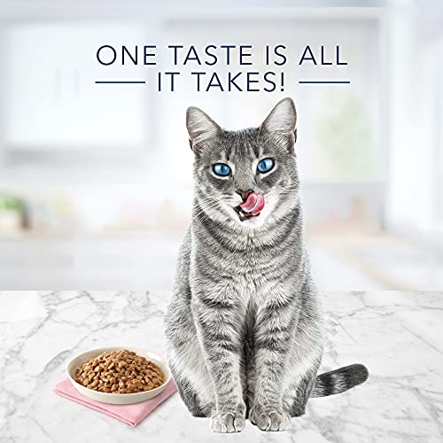 Blue Buffalo Tastefuls Natural Tender Morsels Wet Cat Food, Chick...