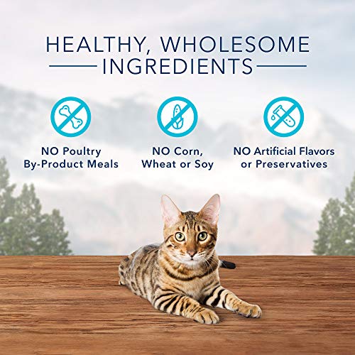 Blue Buffalo Wilderness Crunchy Cat Treats, Salmon 12-oz Tub
