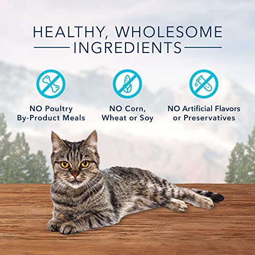 Blue Buffalo Wilderness Grain Free Soft-Moist Cat Treats, Chicken...