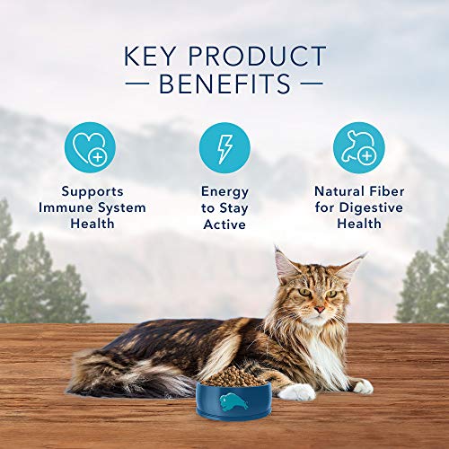 Blue Buffalo Wilderness High Protein, Natural Mature Dry Cat Food...