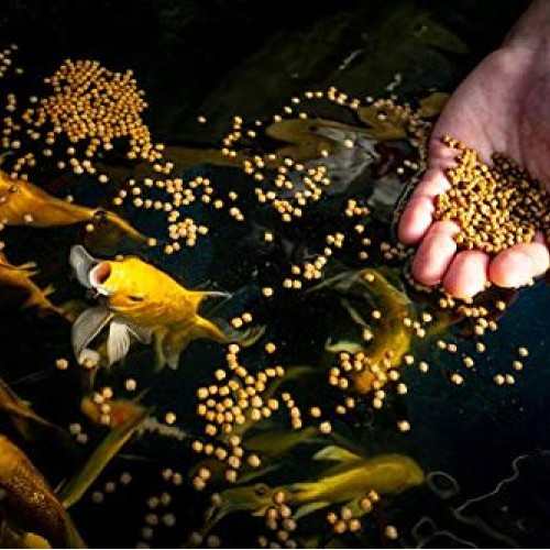 Blue Ridge Fish Food 14lb, Platinum Professional Formula 3/16 ...