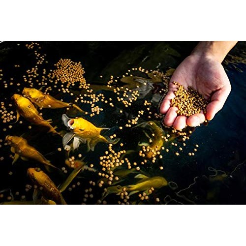 Blue Ridge Fish Food 14lb, Platinum Professional Formula 3/16 ...
