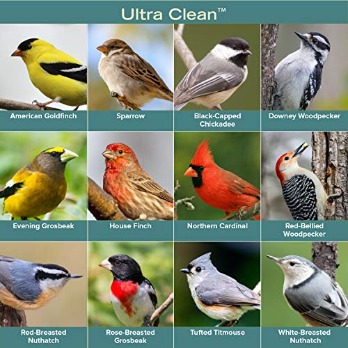 Ultra Clean Premium Black Oil Sunflower Wild Bird Seed 20 Pound