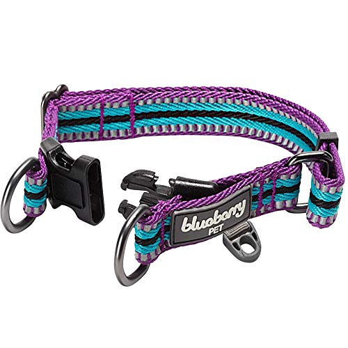 Blueberry Pet 10+ Colors 3M Reflective Multi-Colored Stripe Adjus...