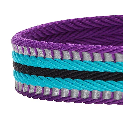 Blueberry Pet 10+ Colors 3M Reflective Multi-Colored Stripe Adjus...