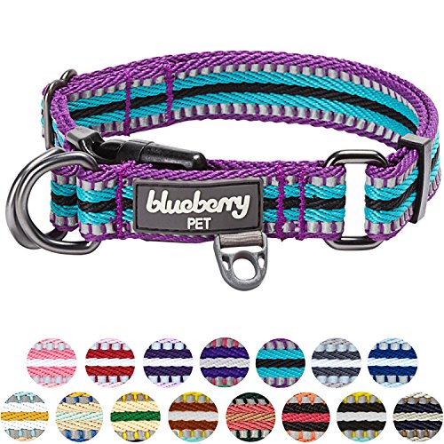 Blueberry Pet 10+ Colors 3M Reflective Multi-Colored Stripe Adjus...