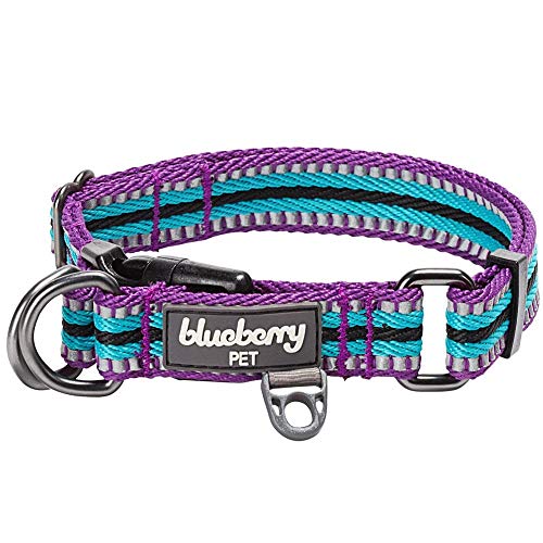 Blueberry Pet 10+ Colors 3M Reflective Multi-Colored Stripe Adjus...
