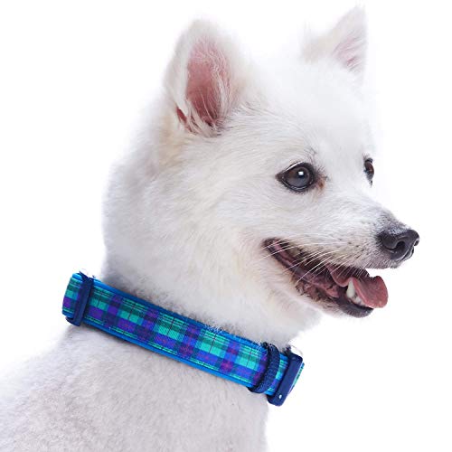 Blueberry Pet 7 Patterns Soft & Comfy Scottish Hudson Blue Plaid ...