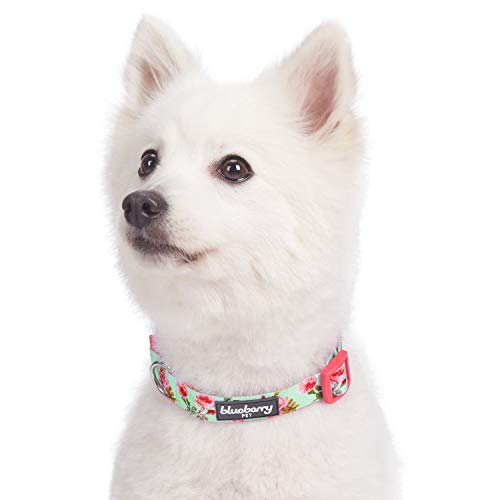 Blueberry Pet 7 Patterns Spring Scent Inspired Floral Rose Print ...